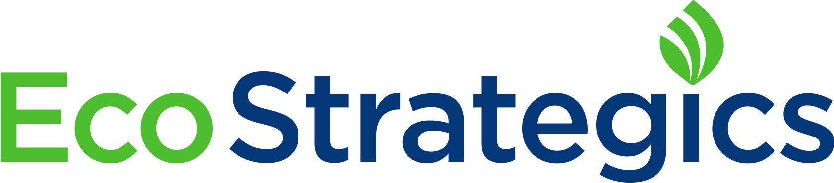 EcoStrategics